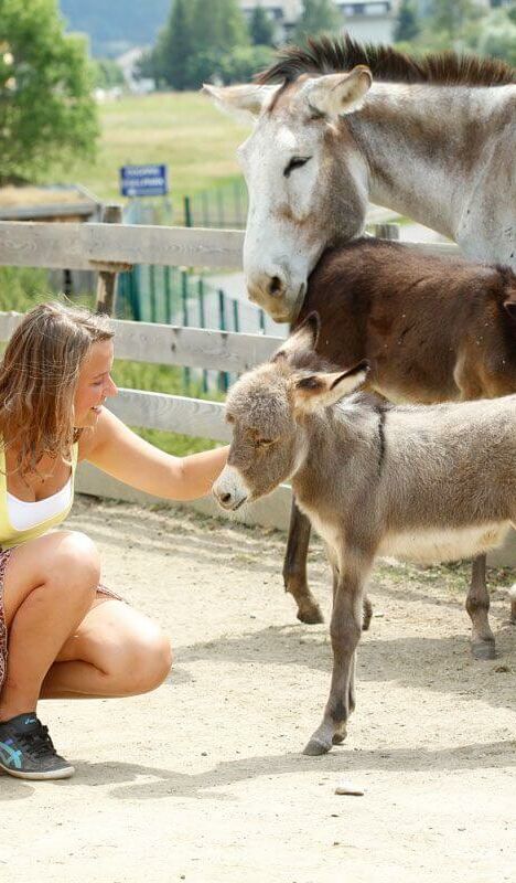 Familie im Eselpark Maltatal