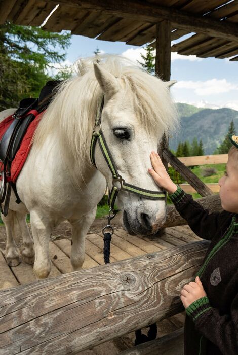Ein Kind streichelt ein weißes Pony mit einem roten Sattel in einer ländlichen Umgebung