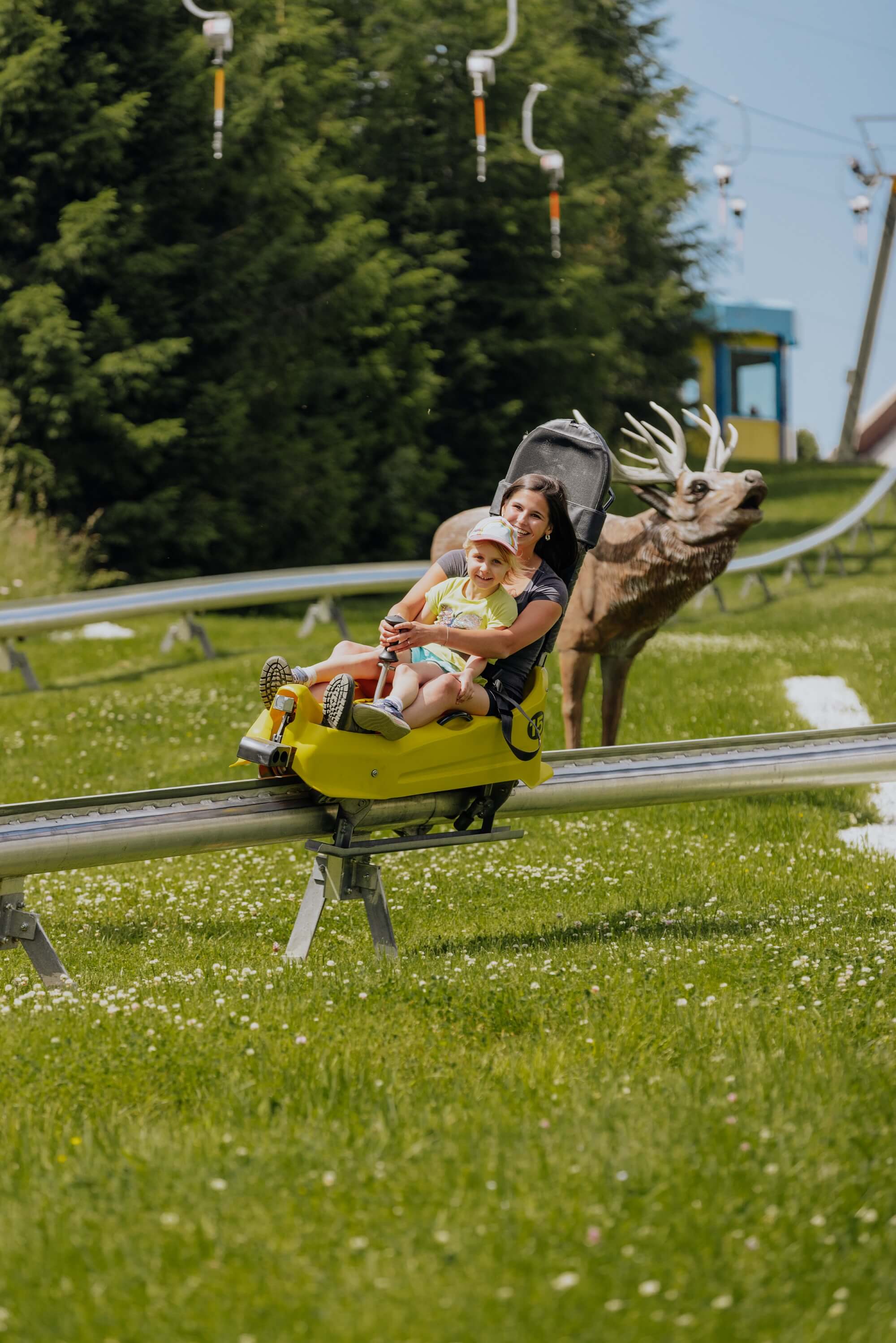 Eine Mutter und ihr Kind fahren auf einer Sommerrodelbahn, umgeben von grüner Landschaft